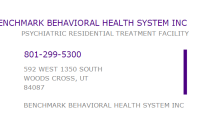 Benchmark behavioral health system, inc.