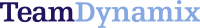 TeamDynamix