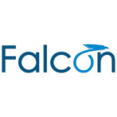 Falcon consulting group