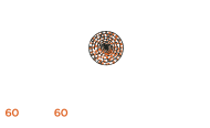 Florida east coast realty