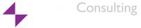 Fitzgerald consulting