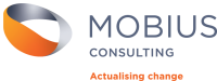 Mobius consulting - llc