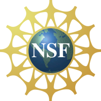 .nsf solutions