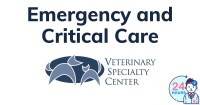 Regional veterinary emergency & specialty center