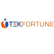 Tekfortune inc