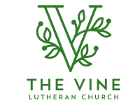 The vine