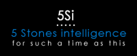 5 stones intelligence inc.