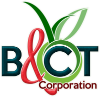 Bct international