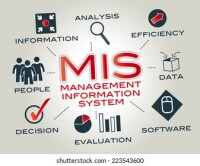 Information systems management
