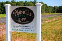 Plainville turkey farms