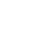 Raycom electronics, inc.