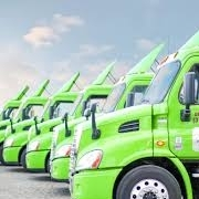 Roadex america inc