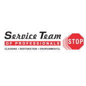 Service team of professionals stop