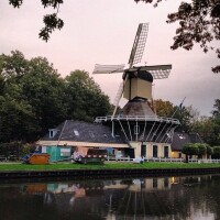 't haantje