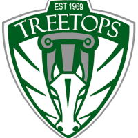 Treetops school international