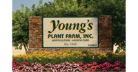 Young's plant farm, inc.