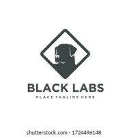 Black labs