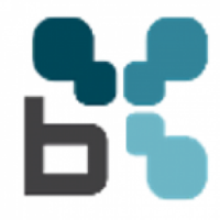 Braeden engineering and consulting
