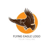 Eagle's way