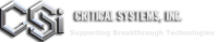 Critical systems, inc.