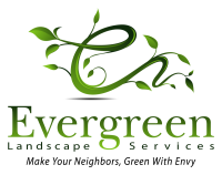 Evergreen landscapes