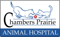 Prairie animal hospital