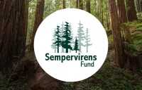 Sempervirens fund
