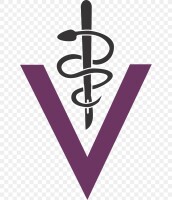 University general surgeons