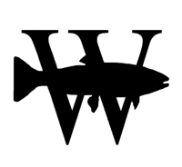 Wild fish conservancy