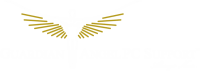 Guardian Angel Computers