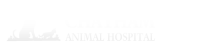 Chatham animal hospital