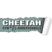 Cheetah gyms inc.