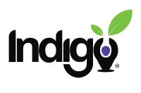Indigo education