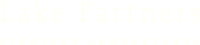 Lake partners strategy consultants