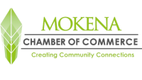 Village of mokena