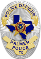 Palmer police department