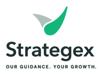 Strategex, inc.
