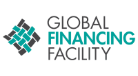 World global financing, inc.