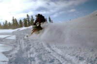 White N Wild Adventures