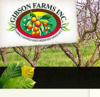 Gibson Farms