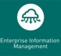 Enterprise information management