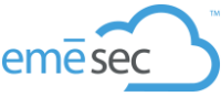 Emesec incorporated