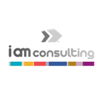 I am consulting group