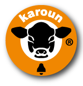 Karoun dairies