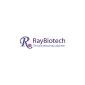 Raybiotech, inc.