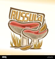 Russula