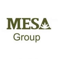 The mesa group