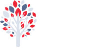 Tlc landscaping