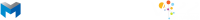 Vizz inc