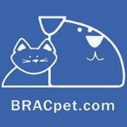 The broad ripple animal clinic